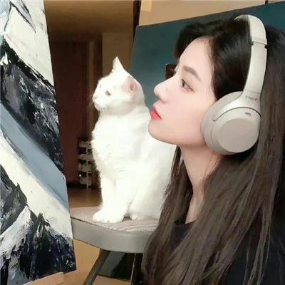 步行王